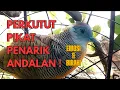 Download Lagu SUARA BURUNG PERKUTUT PIKAT DI SANGKAR JEBAK PENARIK EMOSI DAN BIRAHI PERKUTUT LAINNYA
