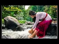 Download Lagu Music of Indonesia Vol 1 | #gamelan #kecapi #angklung #kendang #seruling
