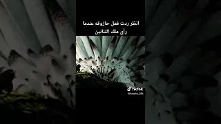 ملك التنانين 