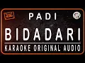 PADI - BIDADARI - KARAOKE ORIGINAL AUDIO