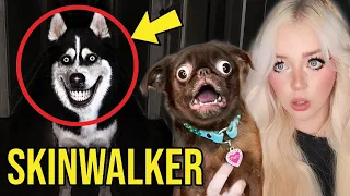 PUPPY REACTS TO SCARIEST YOUTUBE SHORTS ON THE INTERNET....(*PART 8*)