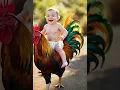 Download Lagu Cute baby sit on cock #funny #funnyanimals #cat #funnycreatures #catlover #viral #short #funnymoment