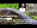 Download Lagu Apakah Siluman Belut Masih Menahan Beko Yg Terperosok di Situ Ciburuy 2 Padalarang Bandung Barat#kdm
