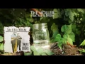 Twang and Round - The Holler (feat. Marty Brown)
