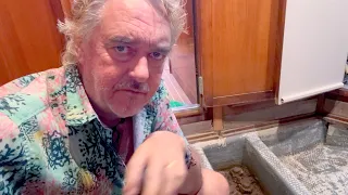 SSL743 ~ some very bad news…