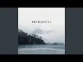 Lagu Bre Furtuna