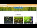 Crop Yield Fertilizer Leaf Disease in Python Projects