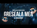 Lagu GRESEALA MEA (DJ DESA REMIX)
