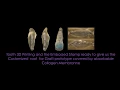 Download Lagu Very Low Dose application in Tooth Prototyping: Orthophos SL and MIMIX