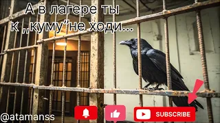 Песня А в лагере ты к куму не ходи 