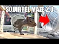 Backyard Squirrel Maze 2 0 The Walnut Heist