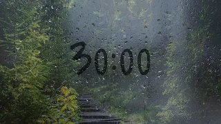 30 Minute Timer With Rain Sounds 