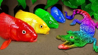 Best Of Small Fish Recipe | MINIATURE Fish Cooking Made EASY with Simple Recipe