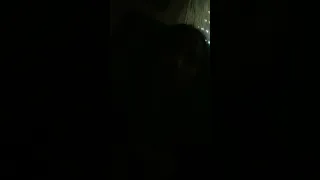 יוניקרון נועה קירל 