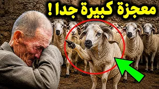 هل تتذكرون الرجل الفقير لم يستطع شراء خروف عيد الأضحى لعائلته , انظر ماذا حدث له معجزة كبيرة !!