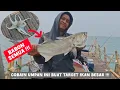 Download Lagu PAKAI UMPAN INI SIAP - SIAP ENCOK !!! || BAGAN TANJUNG KAIT PART II