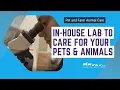 Quality Pet Care in the Hudson Valley In-House Lab for Fast and Precise Treatment