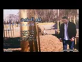 نور الزين   ما يرجع بعد   Audio
