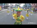Download Lagu LIVE 🇮🇩 Pawai Budaya Tingkat SD Kec Genteng Banyuwangi 2025