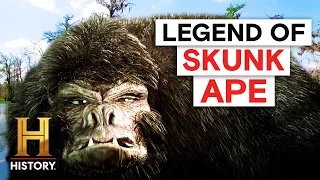 The Skunk Ape Wreaks Havoc on Florida Season 1 The Proof Is Out There History
