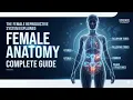 Female Anatomy Explained Complete Female Reproductive System in 3D Medical Animation