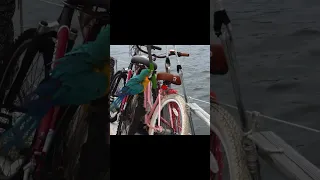 #pets on a #sailboat