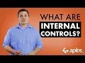 What are Internal Controls