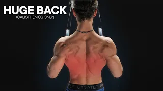 How I Grew a THICK Upper Back: Inverted Rows (Full Guide)