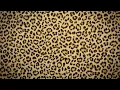 Leopard Print Aesthetic - 5 Hour Loop Background