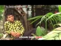 Download Lagu Ost Biola Namabugang part 1 Gok tympanum Novem