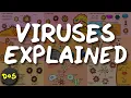 VIRUSES Explained in 9 Slides