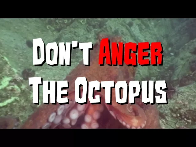 Octogeddon Teaser Trailer - Don't Anger The Octopus