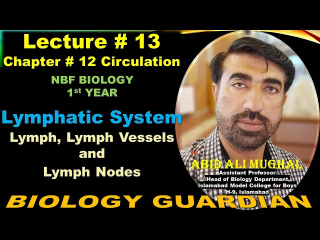 Lymphatic system | Lymph, Lymph Nodes and Lymph Vessels | Lecture 13 Ch 12 NBF Biology-11