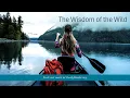 The Wisdom of the Wild