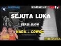 Download Lagu sejuta luka karaoke cowok versi slow