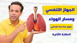 الجهاز التنفسي ومسار الهواء 🫁 | علوم سادسة ابتدائي | الحلقة الثانية