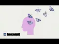 Kraak & Smaak and PWNT - Nothing Is Forever