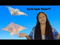 The Mystery of the Chilean Devil Ray