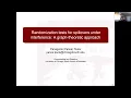 Panos Toulis Randomization tests for spillovers under general interference