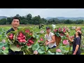 Download Lagu Lotus Flowers Shine Bright—But Tuan’s Grandfather Is Still in Prison / SUNG A PAO