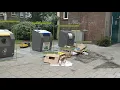 Garbage object detection Amsterdam