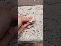 recycling paper to create new art on #recycle #artvlog #studiovlog #artist
