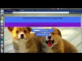 Dog Breed Classification Project Using Flask