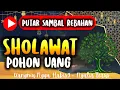 Download Lagu Sholawat Nabi Ahad PAgi 🌛 Putar dan Dengarkan Agar Mendapat Keberkahan