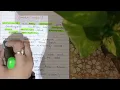 Inheritance PART 1 BCA IPU OBJECT ORIENTED PROGRAMMING USING C Easy explanation