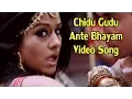 Bangaram Movie | Chidu Gudu Ante Bhayam Video Song | Pawan Kalyan,Meera Chopra \u0026 Reema Sen