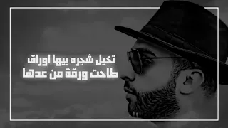 اغنية  ورقة  سيف عامر  مع الكلمات       دندنها