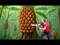 Download Lagu Harvesting Giant Wild Bananas in the Jungle to Sell, New Survival Challenge - Life Off the Grid