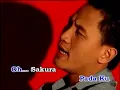 Download Lagu MEGA - Sekuntum Bunga Sakura Di Gurun Sahara (Lirik)