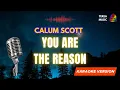 Download Lagu You Are The Reason - Calum Scott (Karaoke)